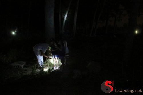 梦见手电简忽明忽暗